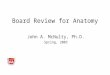 Board Review for Anatomy John A. McNulty, Ph.D. Spring, 2003. Stritch School of Medicine LOYOLA UNIVERSITY CHICAGO
