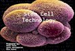 Stem Cell Technology Prepared by: Charu Verma Sonia Iparraguirre Mina Armani