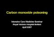 Carbon monoxide poisoning Intensive Care Medicine Seminar Royal Victoria Hospital Belfast April 2007