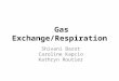 Gas Exchange/Respiration Shivani Barot Caroline Kapcio Kathryn Routier