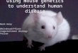 Using mouse genetics to understand human disease Mark Daly Whitehead/Pfizer Computational Biology Fellow