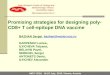 Promising strategies for designing poly- CD8+ T cell-epitope DNA vaccine BAZHAN Sergei, bazhan@vector.nsc.ru KARPENKO Larisa., ILYICHEVA Tatyana, BELAVIN