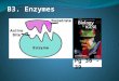 Pg 36 - 39. What are enzymes? enzymes are proteins that function as biological catalysts a catalysts is a substance that usually speeds up the rate of