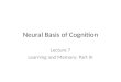 Neural Basis of Cognition Lecture 7 Learning and Memory: Part III