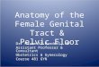 Anatomy of the Female Genital Tract & Pelvic Floor Dr. Hazem Al-Mandeel, MD Assistant Professor & Consultant Obstetrics & Gynecology Course 481 GYN