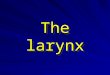 The larynx. The Larynx  The larynx constitutes the organ of phonation and forms a protective sphincter to the respiratory system.  It lies in the median