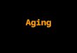 Aging. Musculoskeletal Function and Aging Factors that Accentuate Aging Lack of exercise prolonged immobilizations from injuries Medications: glucocorticoids,