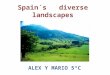 Spain´s diverse landscapes ALEX Y MARIO 5ºC. Spain´s diverse landscapes DECIDUOUS FORESTS * Oceanic climate zones * Forest in northern Spain, along the