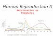 1 Menstruation or Pregnancy Human Reproduction II