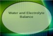 Water and Electrolyte Balance. Water 60% - 90% of BW in most life forms 2/3 intracellular fluid 1/3 extracellular fluid –plasma –lymph –interstitial fluid