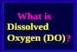 Dissolved Oxygen (DO) What is ?. It IS elemental oxygen, O 2, physically absorbed in a liquid. It IS NOT the chemically bound O of H 2 O. It IS NOT physically