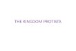 THE KINGDOM PROTISTA. A) SUBKINGDOM PROTOZOA (first animals) - EUKARYOTIC, UNICELLULAR, HETEROTROPHS - PROTOZOA ARE CLASSIFIED BY THEIR METHOD OF MOTILITY
