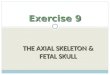THE AXIAL SKELETON & FETAL SKULL Exercise 9. Two Skeletal Divisions Axial skeleton Axial skeleton  Bones around the body’s “axis” or center of gravity