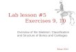 Lab lesson #5 Exercises 9, 10 Overview of the Skeleton: Classification and Structure of Bones and Cartilages Muse 2012