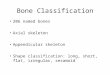Bone Classification 206 named bones Axial skeleton Appendicular skeleton Shape classification: long, short, flat, irregular, sesamoid