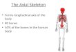 The Axial Skeleton Forms longitudinal axis of the body 80 bones 40% of the bones in the human body
