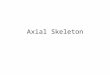 Axial Skeleton. The skeleton is divided into 2 parts, the axial and appendicular skeletons. The axial skeleton, which forms the longitudinal axis of the