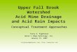 Upper Fall Brook Watershed Acid Mine Drainage and Acid Rain Impacts Conceptual Treatment Approaches Terry A. Rightnour Water’s Edge Hydrology, Inc. January