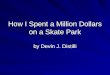 How I Spent a Million Dollars on a Skate Park by Devin J. Distilli