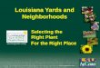 Louisiana Yards and Neighborhoods For the Right Place  Selecting the Right Plant