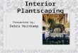 Interior Plantscaping Presented by: Debra Heitkamp