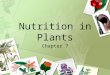 Nutrition in Plants Chapter 7. Learning Objectives State the equation, in words and symbols, for photosynthesis. State the essential conditions of photosynthesis