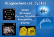 Biogeochemical Cycles Water Nitrogen Carbon Dioxide Phosphorus Sulfur Water Nitrogen Carbon Dioxide Phosphorus Sulfur