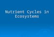 Nutrient Cycles in Ecosystems. Biogeochemical Cycle  The flow of a nutrient from the environment to living organisms and back to the environment  Main