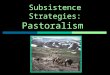 Subsistence Strategies: Pastoralism. 2 A Story of Sididi Ag Inaka  Pastoral Nomad, Mali