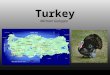 Turkey Michael Galuppo. The Land The borderland of Turkey is separated into three main areas. The Black Sea region, the Aegean region, and the Mediterranean