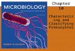  Chapter 10 Characterizing and Classifying Prokaryotes 10/1/11MDufilho1