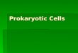 Prokaryotic Cells. Prokaryotes  PLASMA MEMBRANE  CELL WALL  GLYCOCALYX  CAPSULE  SLIME LAYER  FLAGELLUM  SEX PILUS  FIMBRAE