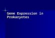 Gene Expression in Prokaryotes. Why regulate gene expression? It takes a lot of energy to make RNA and protein. It takes a lot of energy to make RNA and