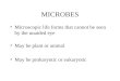MICROBES Microscopic life forms that cannot be seen by the unaided eye May be plant or animal May be prokaryotic or eukaryotic