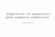 Regulation of eukaryotic gene sequence expression Lecture 6