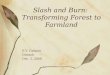Slash and Burn: Transforming Forest to Farmland E.V. Catipon Dudash Dec. 2, 2008
