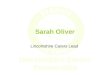 Sarah Oliver Lincolnshire Carers Lead. The Lincolnshire Carers Strategy One year on