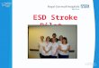 ESD Stroke Pilot. Pilot Based on retrospective audit and budget of £75,000. Clinical Leads OT and Physio from RCH Acute Stroke Unit developing and leading