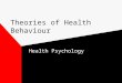 Theories of Health Behaviour Health Psychology. Attribution theory According to the basic tenets of attribution theory people attempt to provide a causal