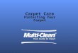 Carpet Care Protecting Your Carpet. Agenda 5 Elements According to CRI Creating and Implementing a plan. Interim-Low Moisture Methods Spotting: Challenges