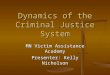 Dynamics of the Criminal Justice System MN Victim Assistance Academy Presenter: Kelly Nicholson