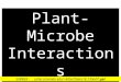 Plant-Microbe Interactions SUMBER: culter.colorado.edu/~kittel/Slides18_13Nv07.ppt