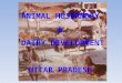 ANIMAL HUSBANDRY & DAIRY DEVELOPMENT UTTAR PRADESH