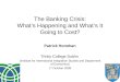 The Banking Crisis: What’s Happening and What’s It Going to Cost? Patrick Honohan Trinity College Dublin (Institute for International Integration Studies