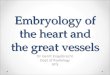 Embryology of the heart and the great vessels Dr Gerrit Engelbrecht Dept of Radiology UFS
