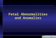 Fetal Abnormalities and Anomalies. Fetal Abnormalities Detectable by Ultrasound Brain –Anencephaly –Hydrocephalus –Chiari deformities –Encephalocele Spine