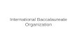 International Baccalaureate Organization. IB Requirements Math, Science, English, Theory of Knowledge, Fine Arts/Psychology EE- Extended Essay CAS- Creativity,