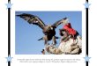 A Kazakh eagle hunter holds his bird during the Golden Eagle Festival in the Altay Mountains near Sagsay village in western Mongolia's Bayan Olgiy province
