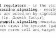 Cell Communication Chapter 11 Local regulators – in the vicinity a.Paracrine signaling – nearby Cells are acted on by signaling Cell (ie. Growth factor)