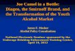 Joe Camel in a Bottle: Diageo, the Smirnoff Brand, and the Transformation of the Youth Alcohol Market James F. Mosher Alcohol Policy Consultations National
